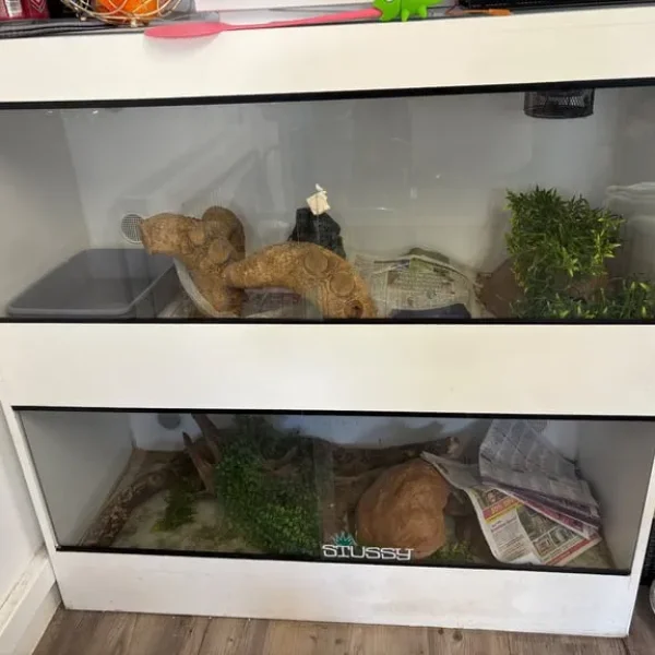 Double Vivarium