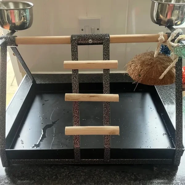 Parrot stand