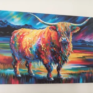 Highland cow picture