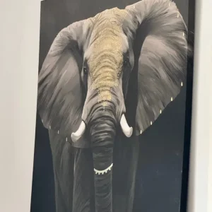 Large elephant canvas