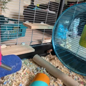 Syrian hamster cage and all the gear - Image 7