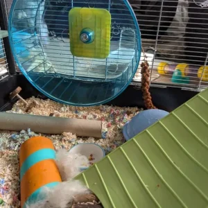 Syrian hamster cage and all the gear - Image 8