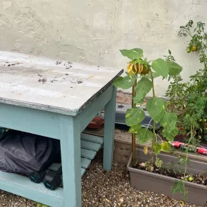 Vintage Table for kitchen or garden - Image 6
