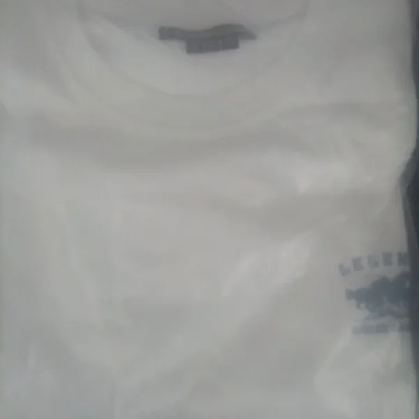 Mens large T-shirts