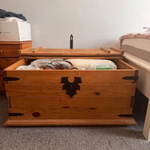 Vintage storage trunk - Image 3