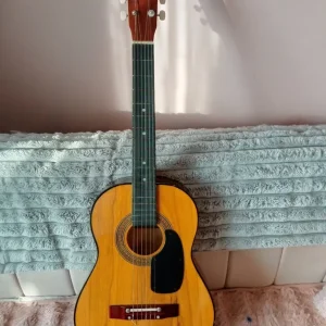 Vintage Guitar G-101