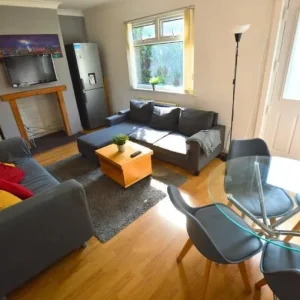 Grey sofas