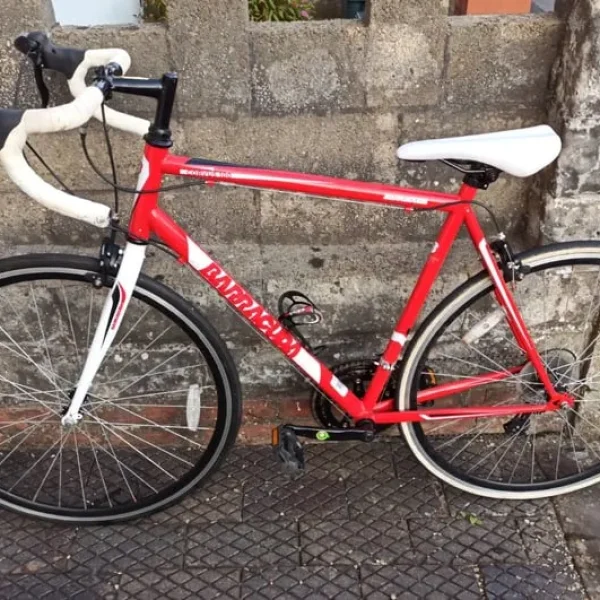 Barracuda Corvus 100 road bike