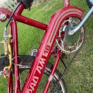 Lester Alloy Wheel BMX Race Bike - Image 3