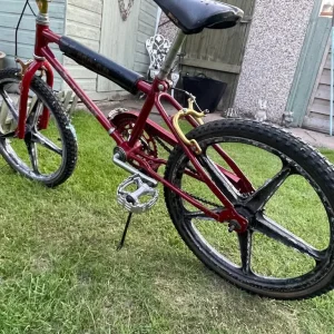 Lester Alloy Wheel BMX Race Bike - Image 8