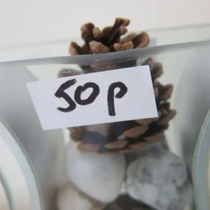 Vase with stones and cones - Image 5