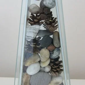 Vase with stones and cones