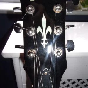 Les Paul style guitar