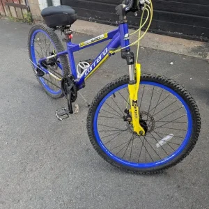 Boys Carrera 13-inch mountain bike - Image 2