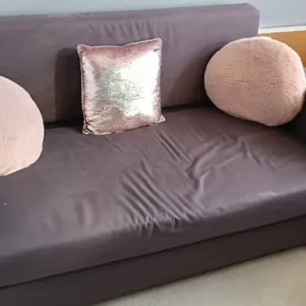 Free sofa bed