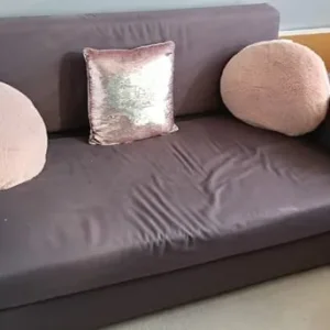 Free sofa bed