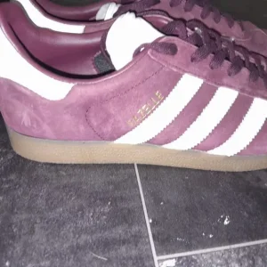 Gazelle Burgundy - Image 4