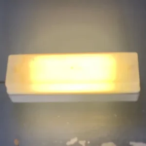 Inspection/Work light