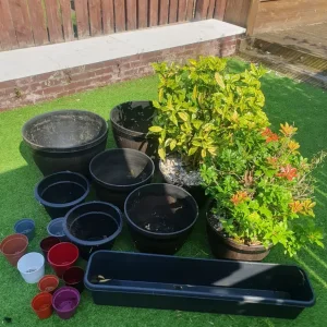 GARDEN PLANTS AND POTS - Image 2