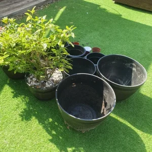 GARDEN PLANTS AND POTS - Image 4