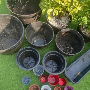 GARDEN PLANTS AND POTS - Image 5