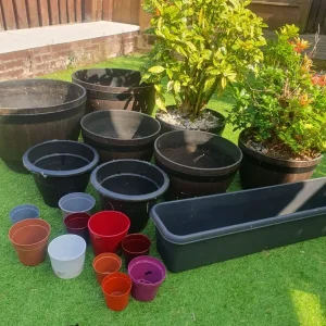 GARDEN PLANTS AND POTS - Image 6
