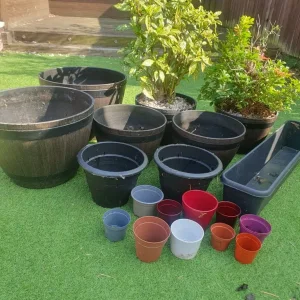 GARDEN PLANTS AND POTS - Image 7