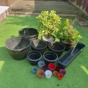 GARDEN PLANTS AND POTS