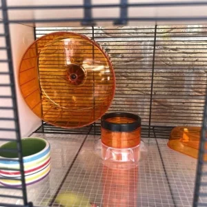 Omlet small pet enclosure and Savic Spelos plastic cage - Image 8