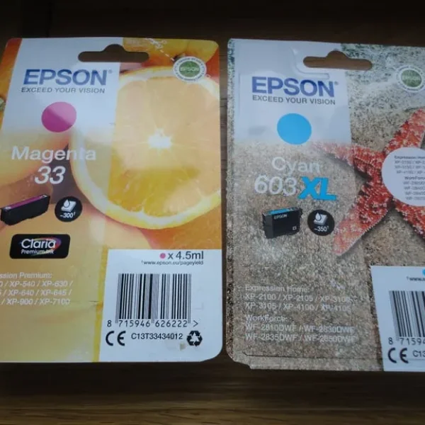 Epson Original Ink Cartridge – Never Used