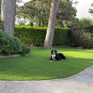 E.B Landscaping, experienced and quality landscaping - Image 4