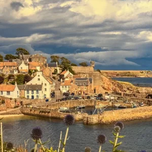 Large Crail Canvas 30”x20” - Image 2