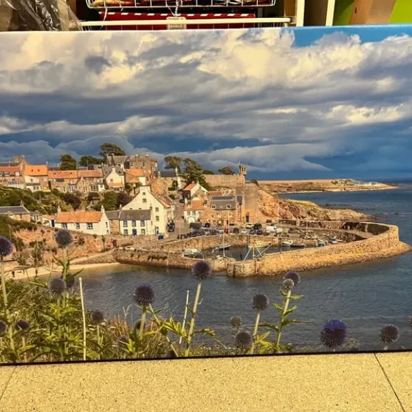 Large Crail Canvas 30”x20”