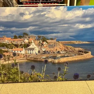 Large Crail Canvas 30”x20”