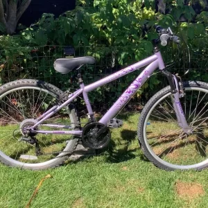 Apollo Jewel 14" Bike