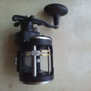 Penn Rival 20LW multiplier reel