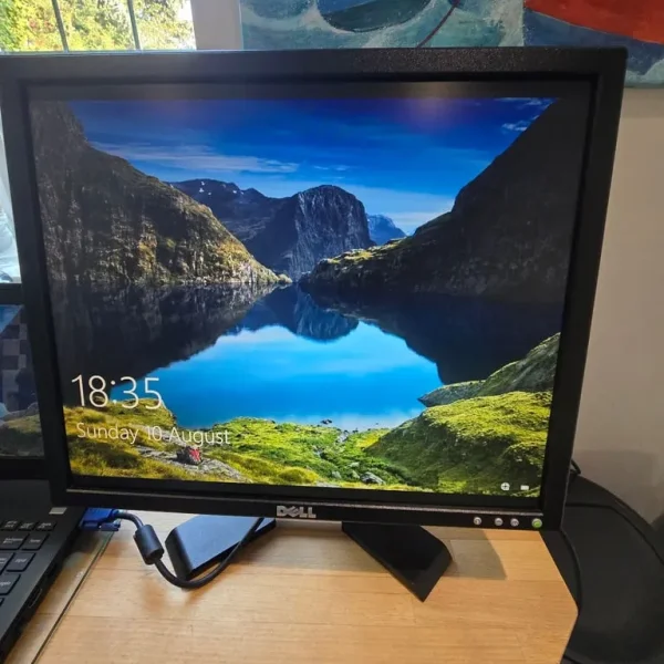 Dell 19" flat panel tilt screen E197FPf