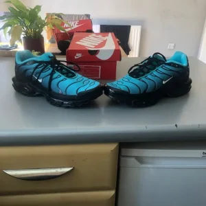 Nike TN 'aqua blues'