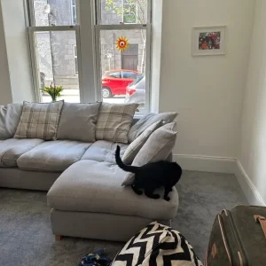 L-shaped sofa - Image 3