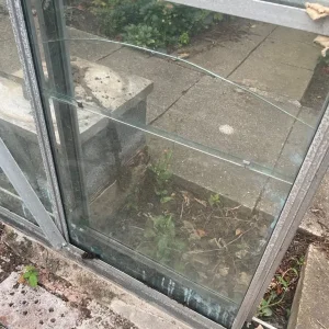 Green house - Image 2