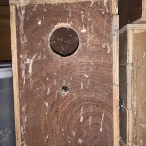 Bird nest box - Image 2