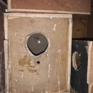 Bird nest box