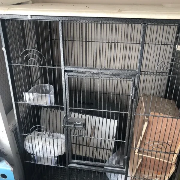 Large bird cage