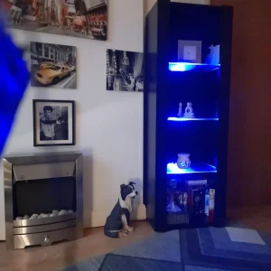 Freestanding black unit - Image 2