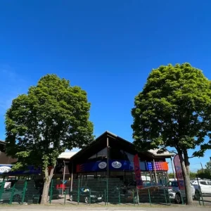 2017 Volkswagen Transporter T30 TDI SHUTTLE SE VW T6 LWB WAV DSG AUTO WHEELCHAIR ACCESS WAV MPV D... - Image 3