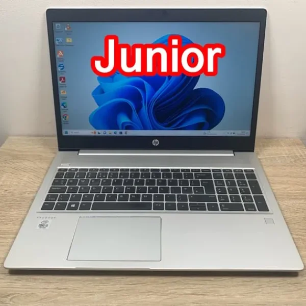 HP i5 10th 32GB Ram 1TB SSD UltraFast High Spec ProBook Full HD Laptop