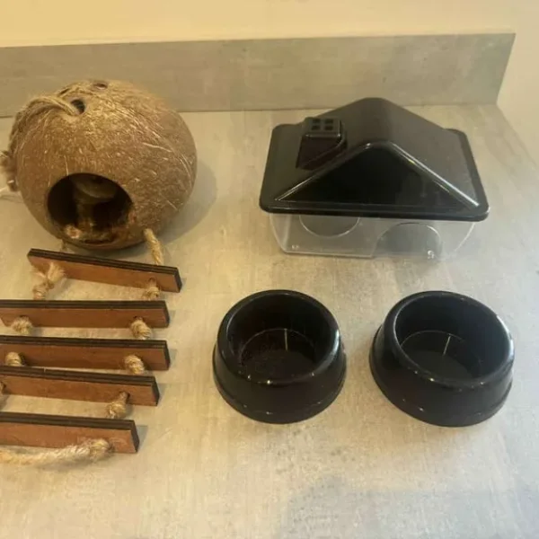 hamster accessories bundle