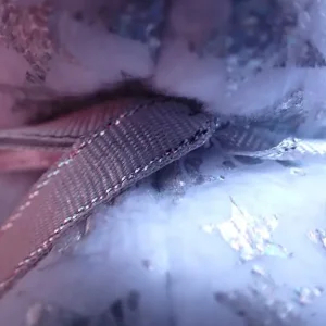 Ty Beanie Baby - The Beginning Teddy Bear - Image 2