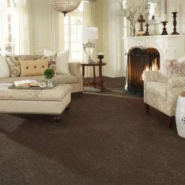 Carpets at Low Prices