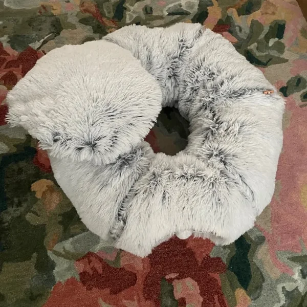 Christmas tree cat tunnel